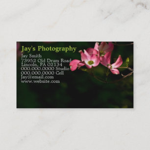 Template Photography Business Cards