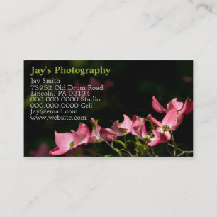 Template Photography Business Cards