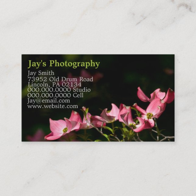 Template Photography Business Cards (Front)