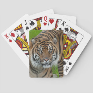 template playing cards