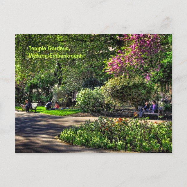 Temple Gardens, Victoria Embankment, London Postcard (Front)