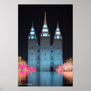 Temple Reflected Poster