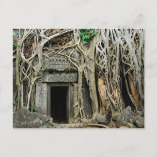 temples angkor postcard