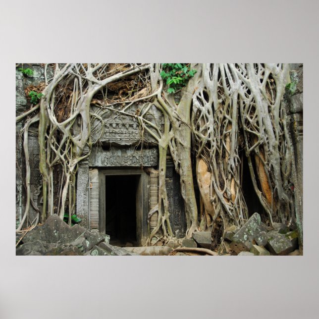 temples angkor poster (Front)