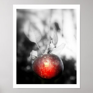 "Temptation" Apple Photography Print