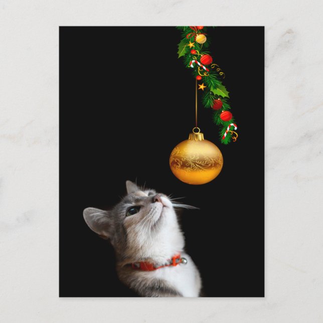 Tempted kitty cat Christmas Holiday Postcard (Front)