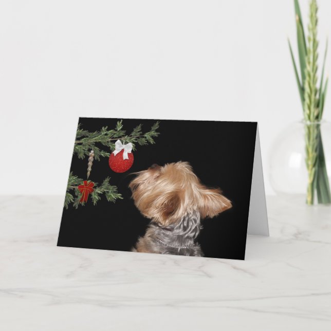 Tempted Yorkie Christmas Holiday Card (Front)