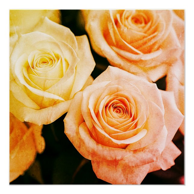 Tempting Blush Reverie Poster (Front)