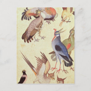 Ten Birds Postcard