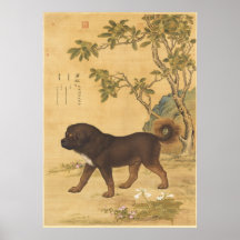 Ten Fine Hounds - Cangni(A Tibetan Mountain Dog) 