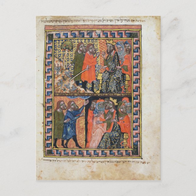 Ten Plagues of Egypt TtoB; the Plague of Postcard (Front)