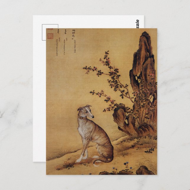 Ten Prized Dogs - Banjinbiao(Chinese greyhound) Postcard (Front/Back)
