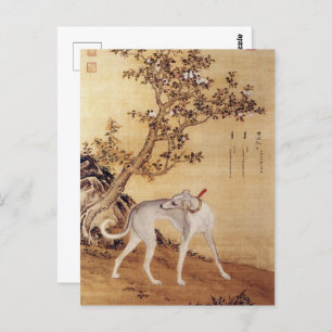 Ten Prized Dogs - Cangshuiqiu(Chinese greyhound) Postcard