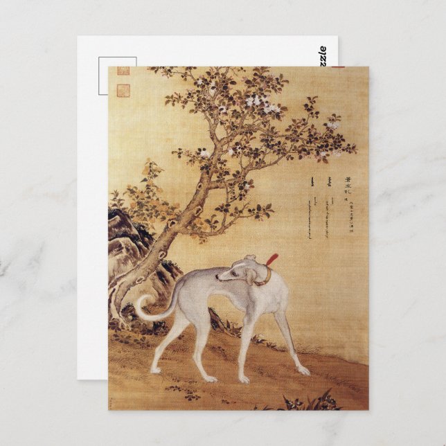 Ten Prized Dogs - Cangshuiqiu(Chinese greyhound) Postcard (Front/Back)