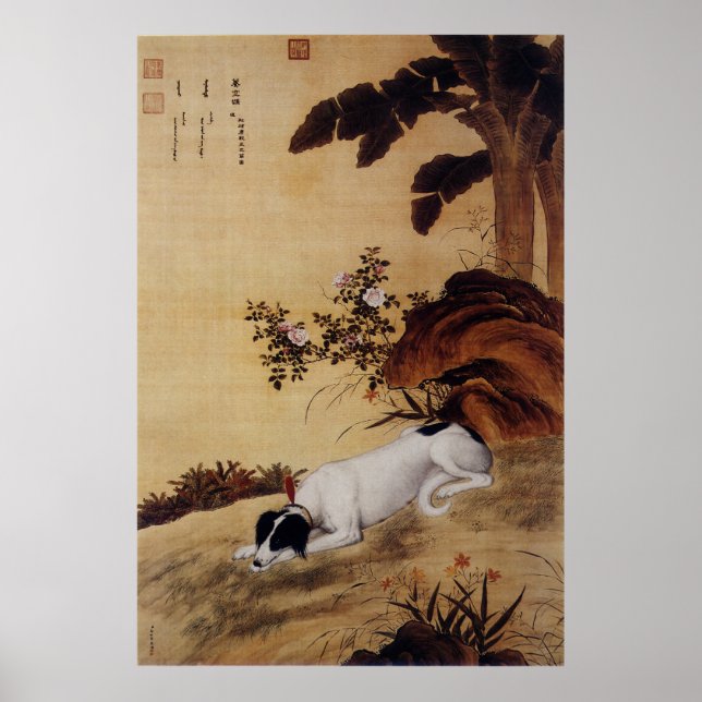 Ten Prized Dogs - Mukongque(Chinese greyhound) Poster (Front)
