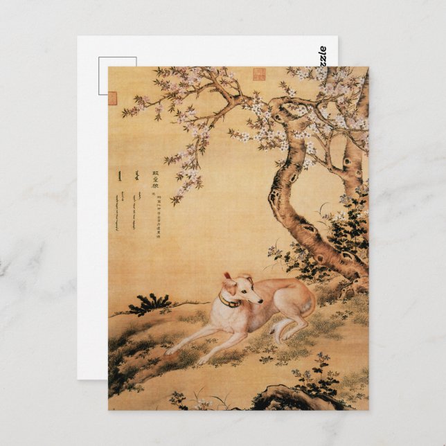 Ten Prized Dogs - Shanxing Wolf(Chinese greyhound) Postcard (Front/Back)