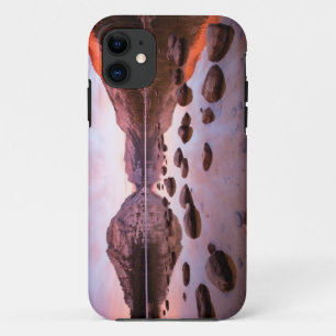 Tenaya Lake iPhone 11 Case