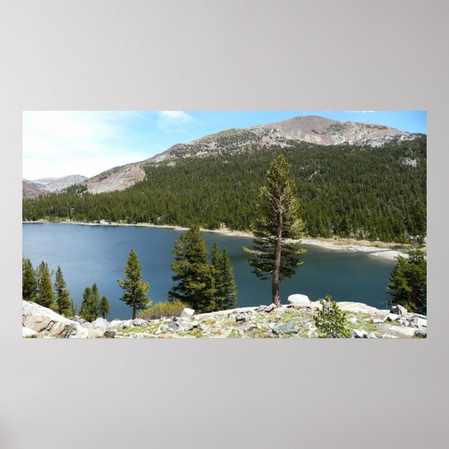 Tenaya Lake in Yosemite National Park Poster (Front)