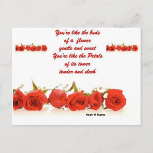 Tender and sleek postcard