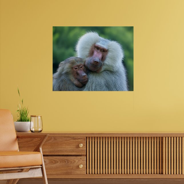 Tender Baboon Bond Poster (Living Room 2)