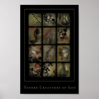 tender creatures of god