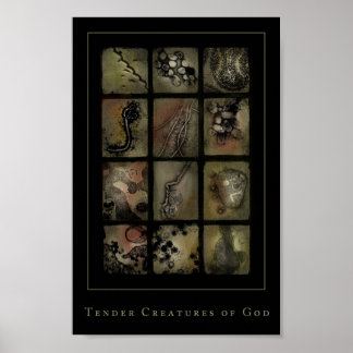 tender creatures of god poster