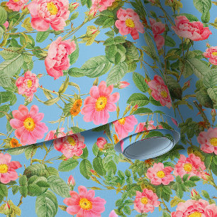Tender garden roses on sky blue background wallpaper