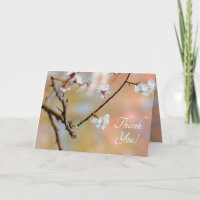 Tender Japanese Apricot Blossoms