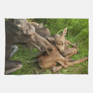 Tender Mother Moose Tea Towel