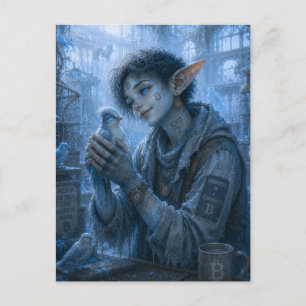 Tenderness / Ornithologist / Winter Garden Postcard