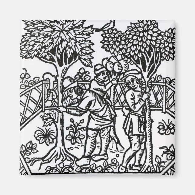 Tending Vines Magnet (Front)