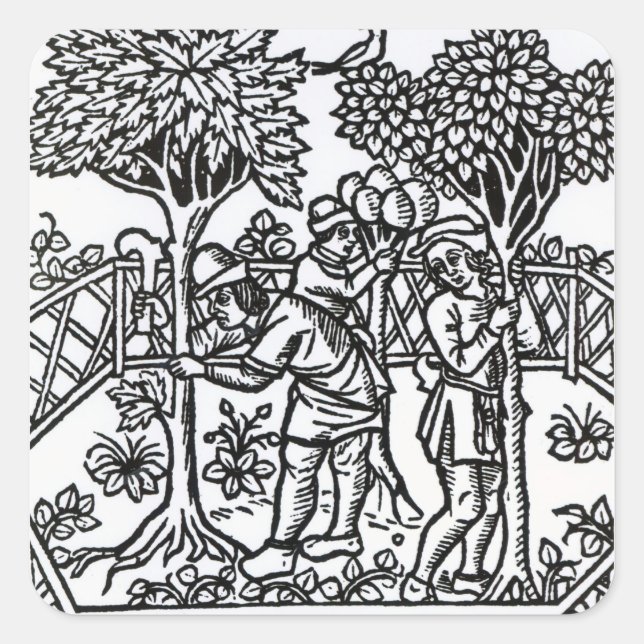 Tending Vines Square Sticker (Front)