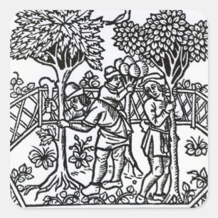 Tending Vines Square Sticker