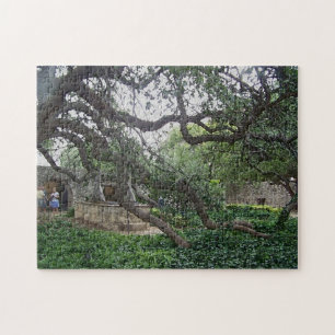 Tendril Tree at the Alamo, San Antonio, Texas Jigsaw Puzzle