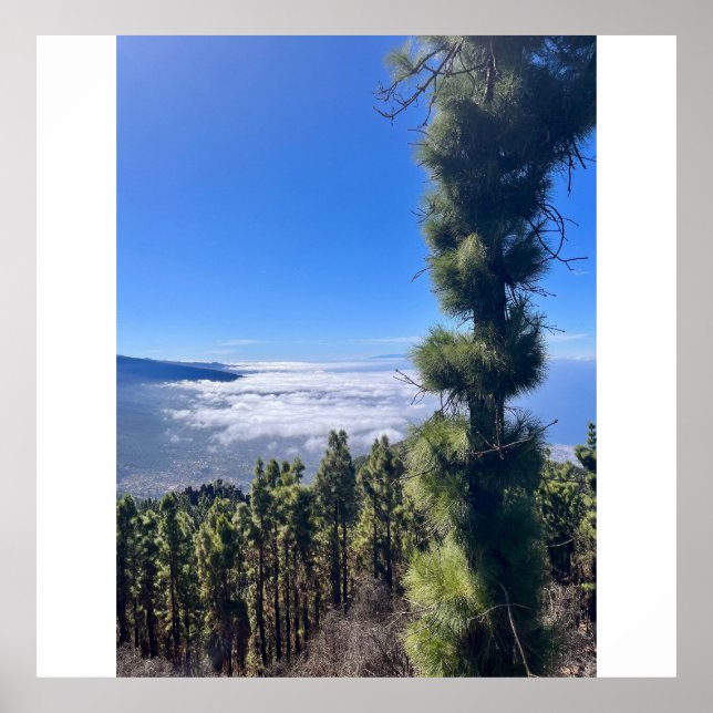 Tenerife bliss.. poster (Front)