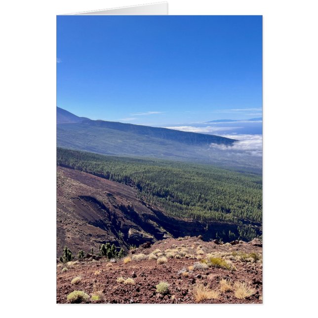 Tenerife view (Front)