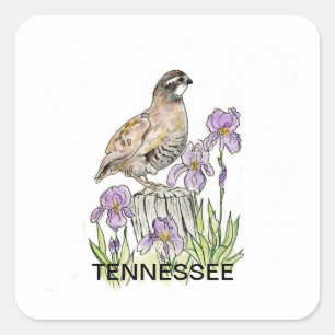 Tennessee bird flower square sticker