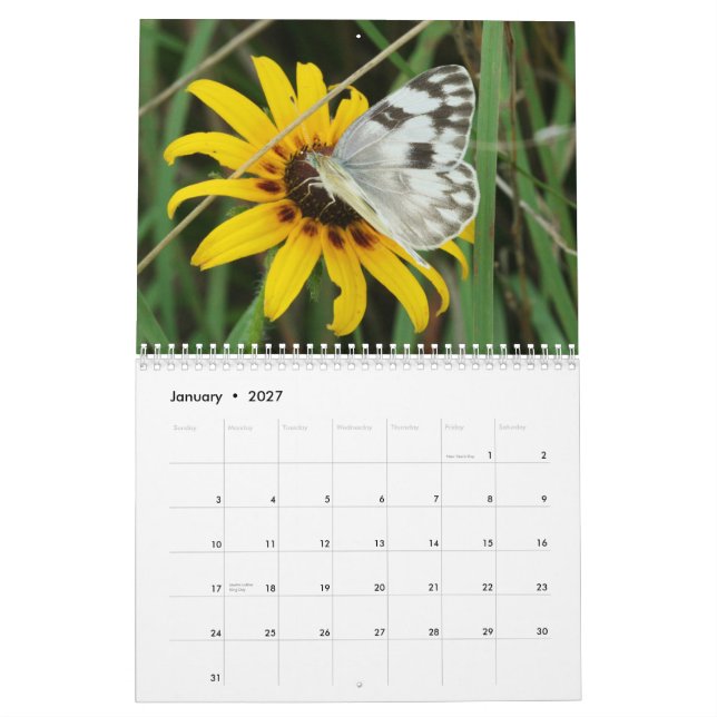 Tennessee Butterflies Calendar (Jan 2027)
