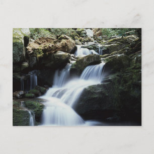 Tennessee, Great Smoky Mountains National Park 3 Postcard