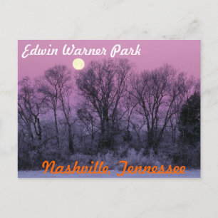 Tennessee postcard