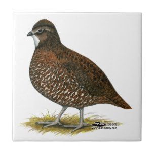 Tennessee Red Quail Tile