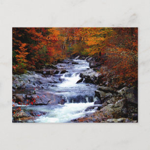 Tennessee, Smoky National Park Postcard