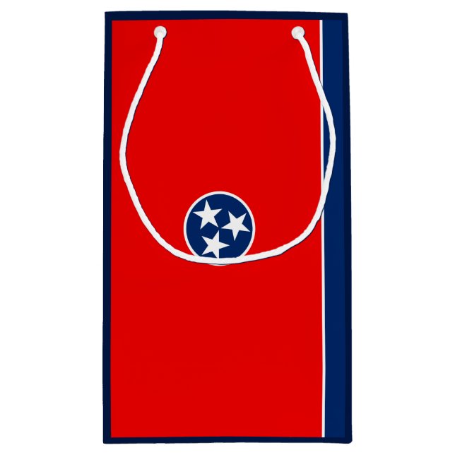 Tennessee State Flag Design Small Gift Bag (Back)