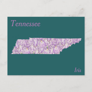 Tennessee State Flower Collage Map Postcard