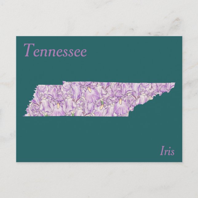 Tennessee State Flower Collage Map Postcard (Front)