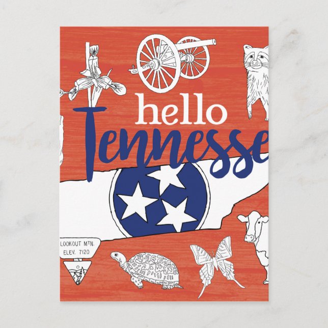 Tennessee State Symbols Volunteer State Images Postcard (Front)