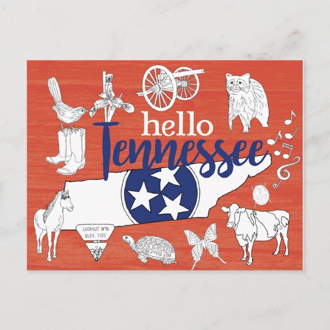 Tennessee State Symbols Volunteer State Images Postcard (Front)