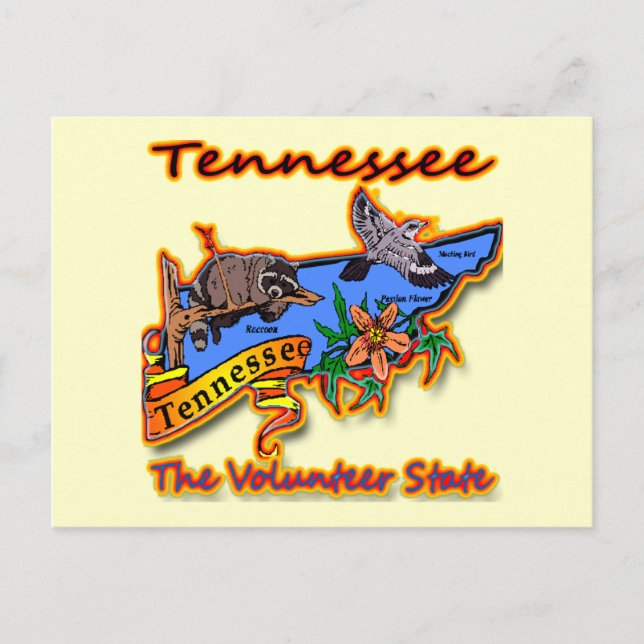 Tennessee The Volunteer State Racoon Flower Bird B Postcard (Front)