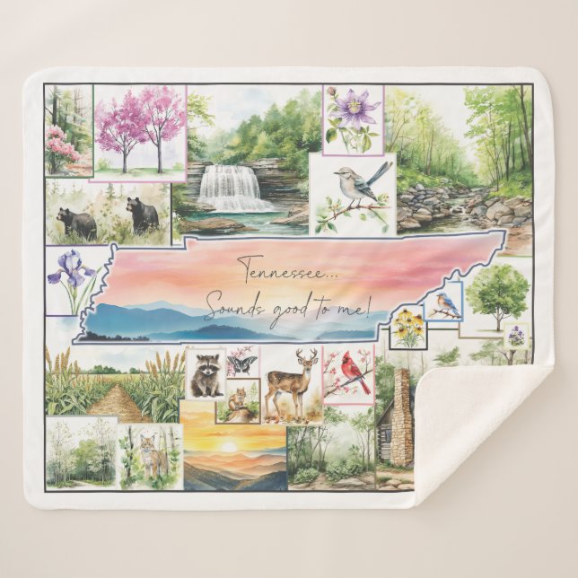 Tennessee Throw - Sounds good to me (Front (Horizontal))