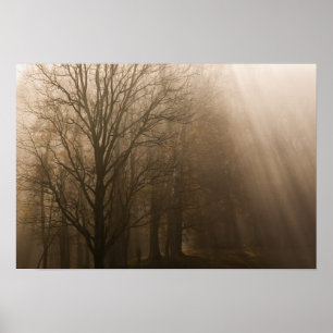 Tennessee Trees in Fog   Great Smoky Mountain Poster